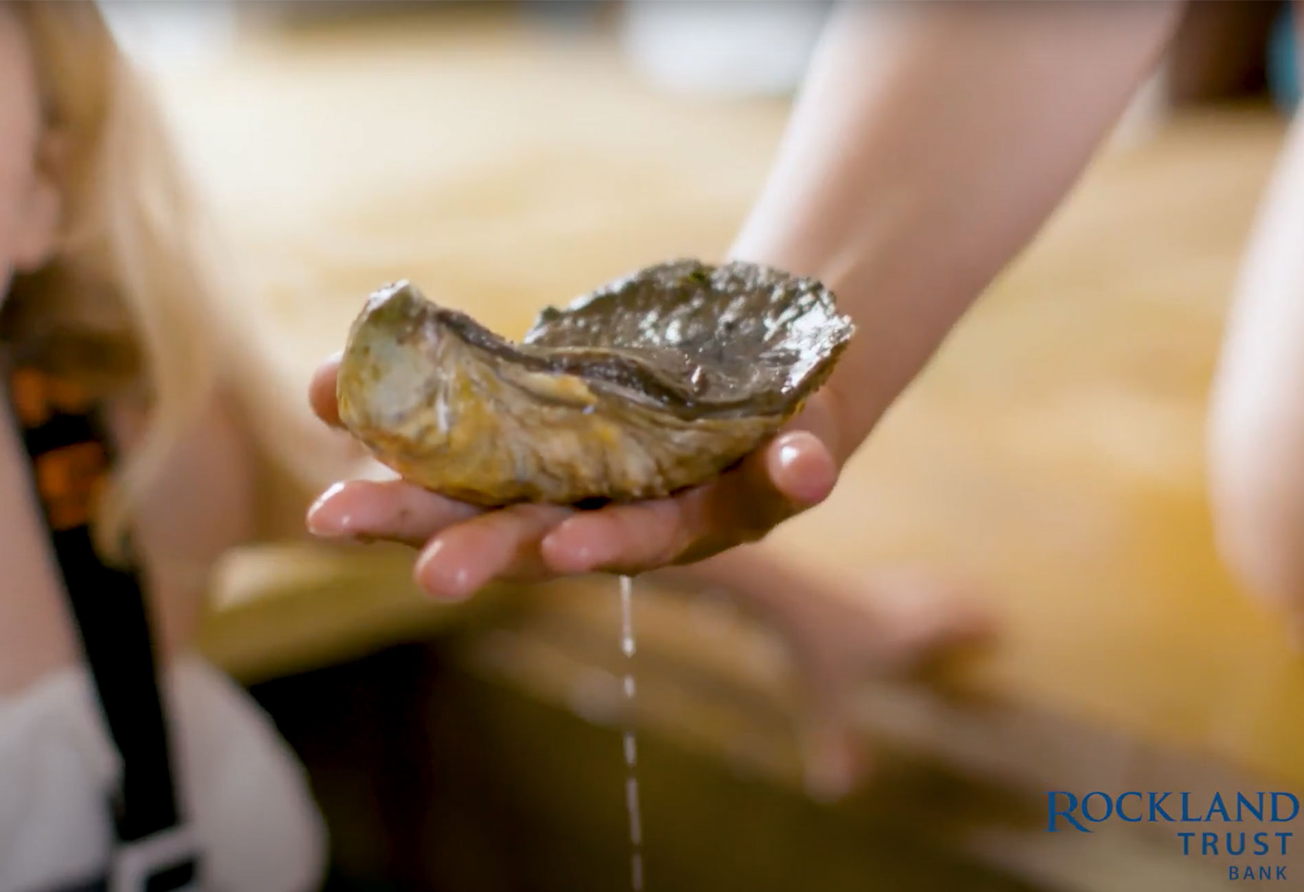 Bank Customer Testimonial & Explainer Videos Rockland Trust