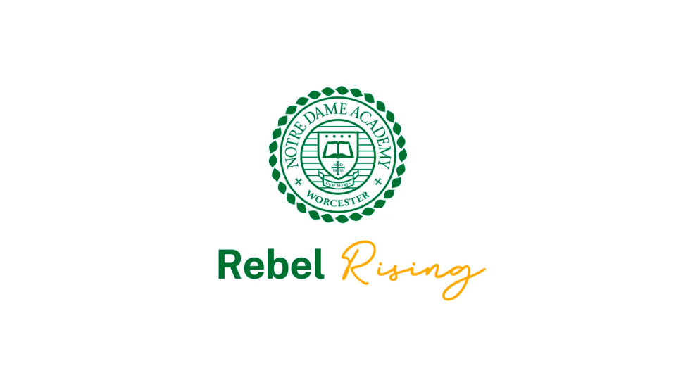 education marketing campaign nda rebel rising