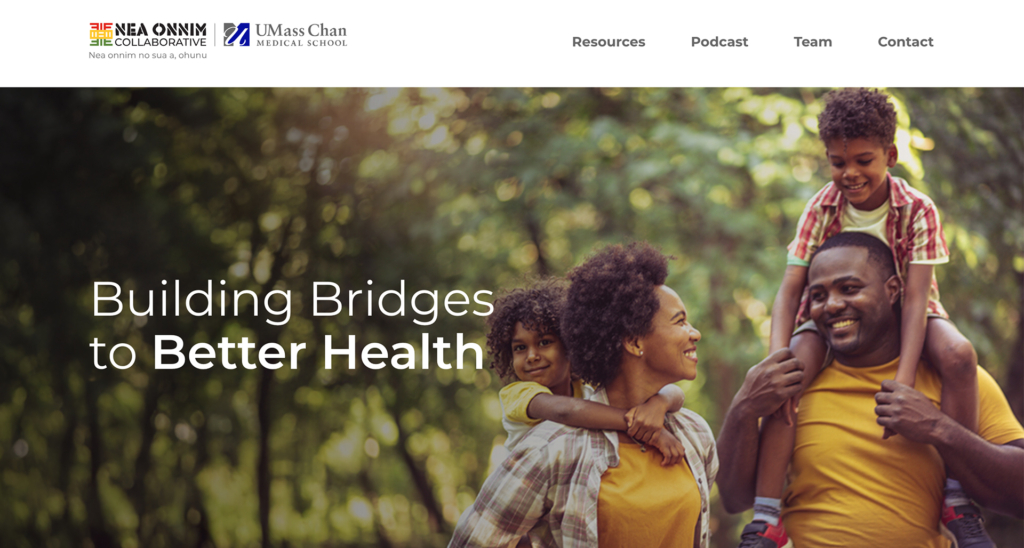 Pagano Media | Top Rated Web Design Agency | Worcester Mass | Nea Onnim Healthcare Website Design