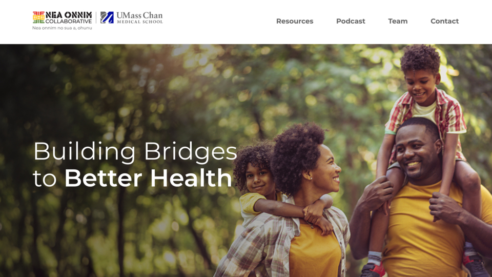 Pagano Media | Top Rated Web Design Agency | Worcester Mass | Nea Onnim Healthcare Website Design